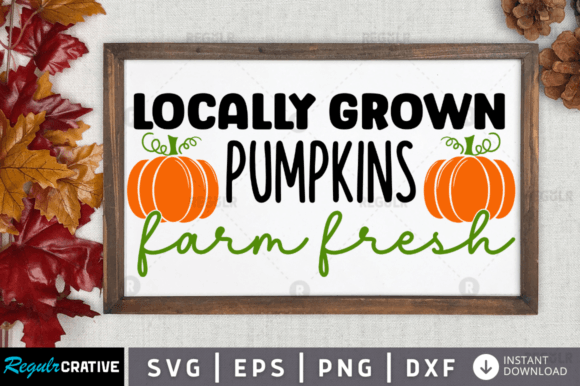 FREE Locally Grown Pumpkins Farm Fresh